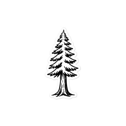 Black and white illustration of a pine tree on a white background
