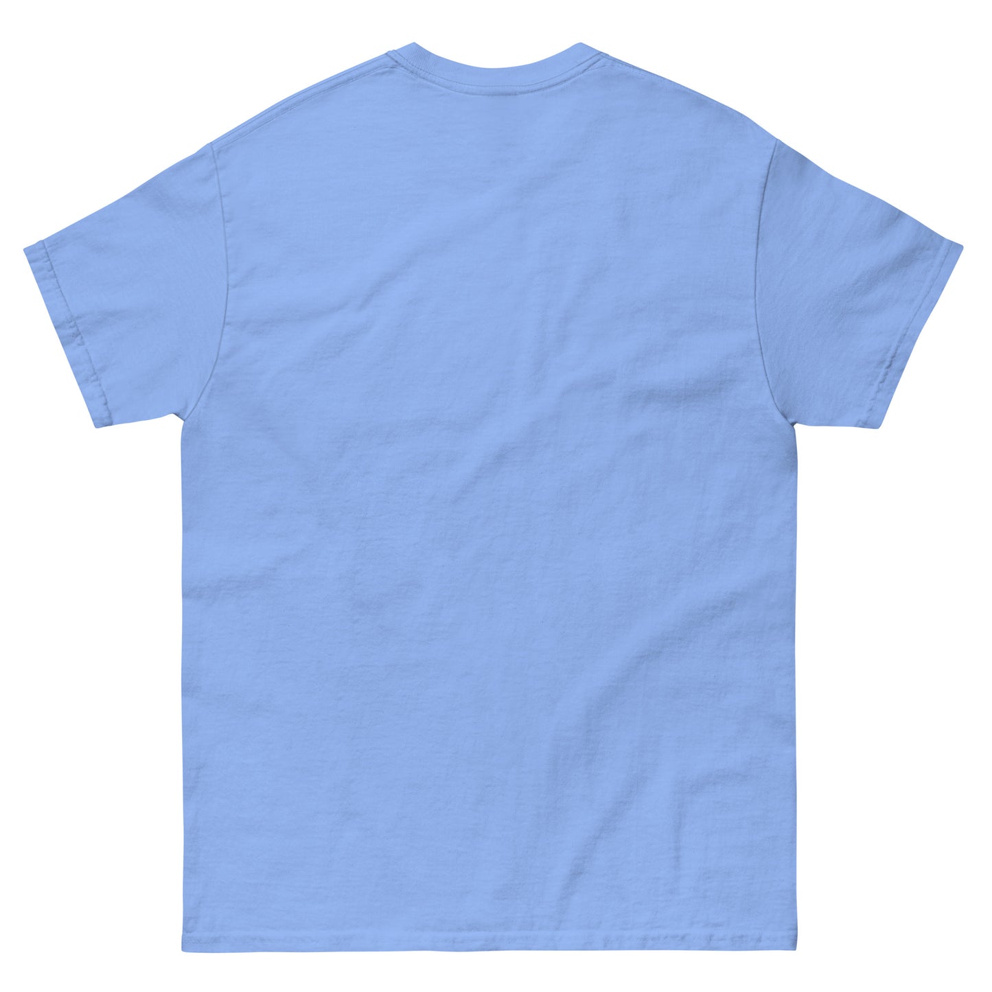 Plain light blue t-shirt on a white background