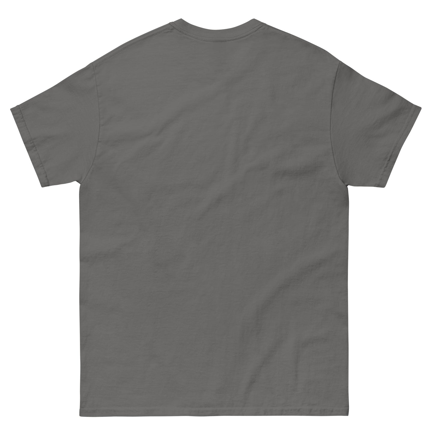 Plain gray t-shirt on a white background
