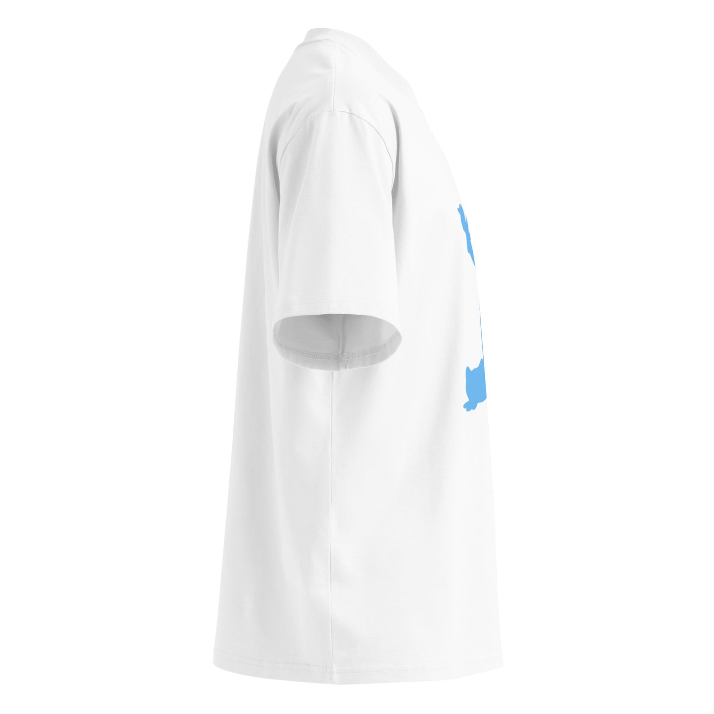 blank right sleeve of a white t shirt