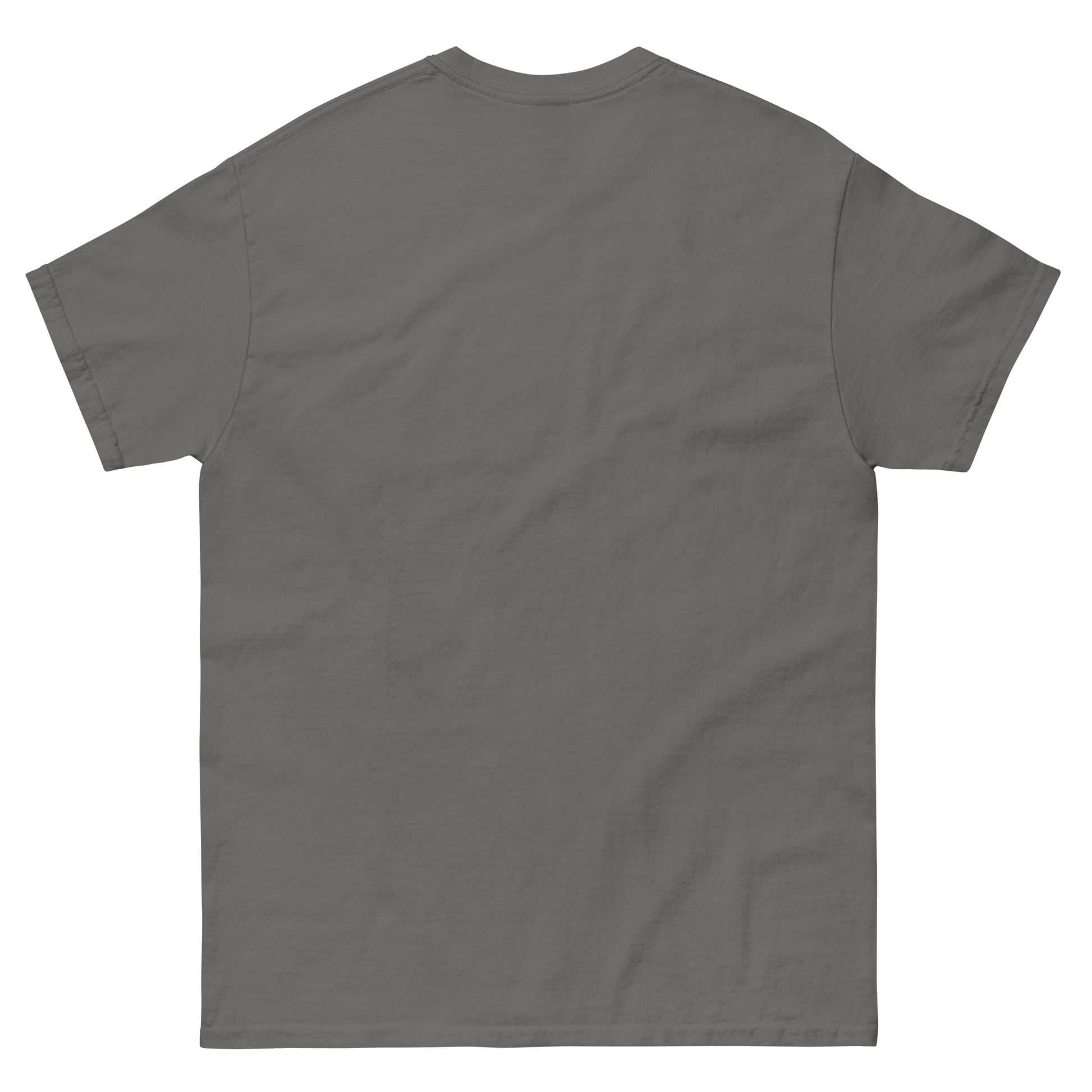 Plain gray t-shirt on a white background