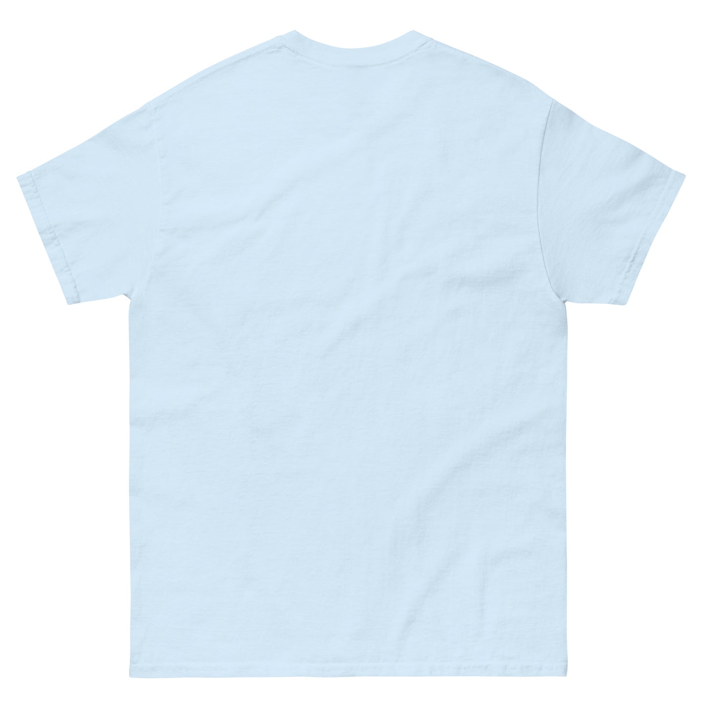 Plain light blue shirt back view