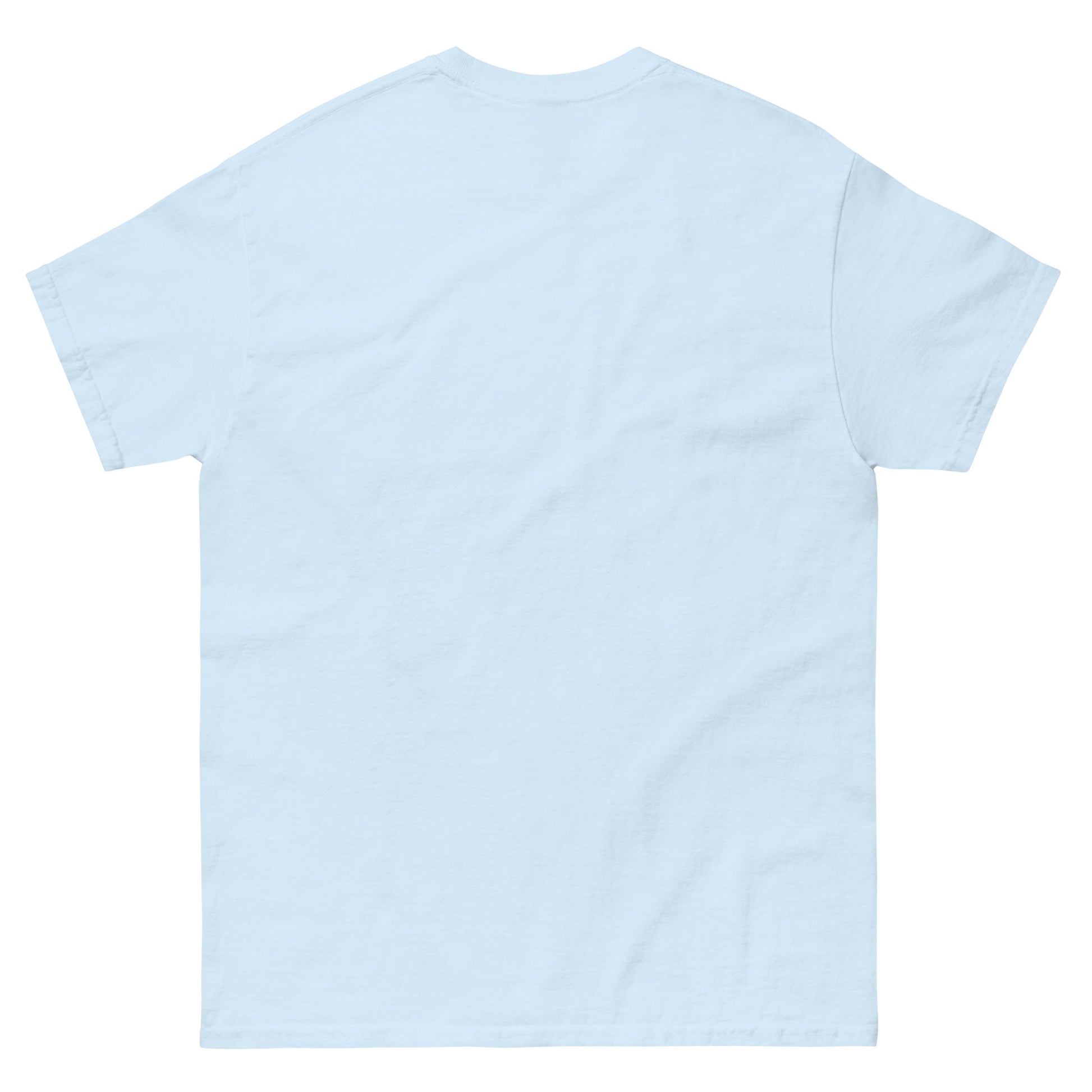 Plain light blue shirt back view
