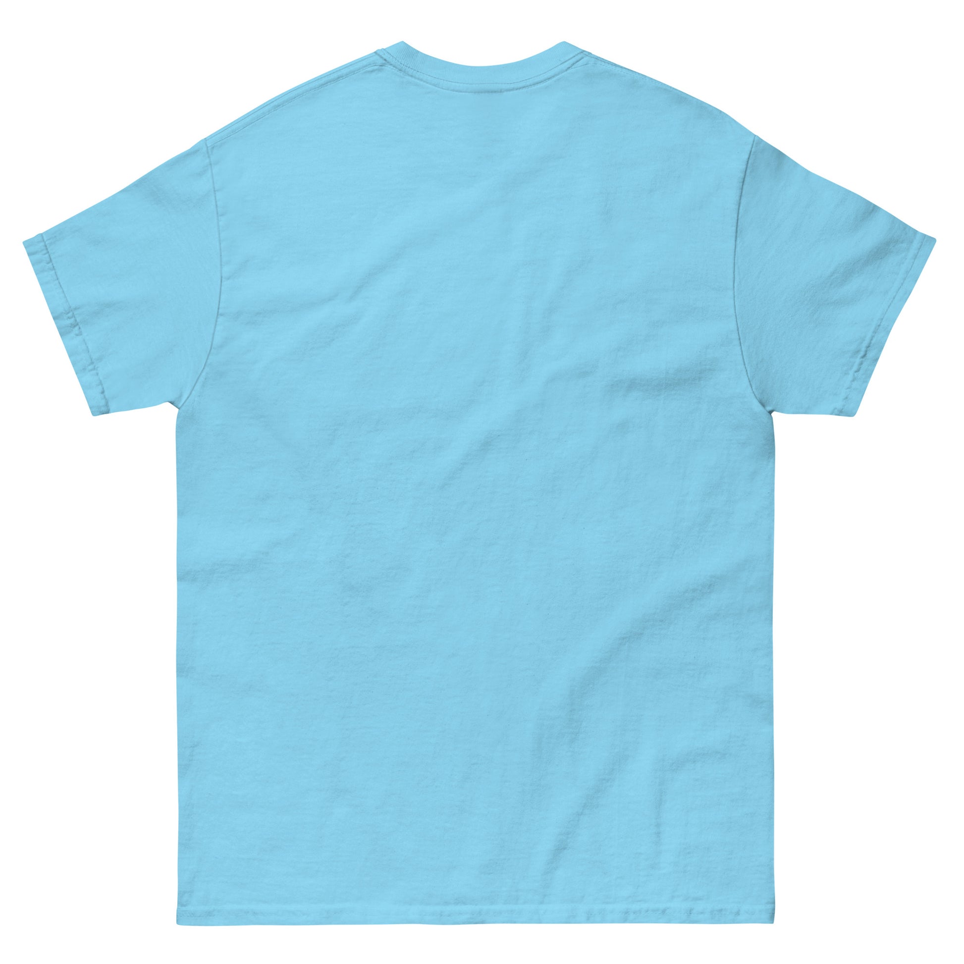 Light blue t-shirt on a white background